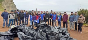 2 toneladas de basura se retiró desde playa de Lirquen 2 toneladas de basura se retiró desde playa de Lirquen