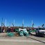 Cerca de mil personas participaron de limpieza de playas en Punta Arenas