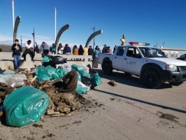 Cerca de mil personas participaron de limpieza de playas en Punta Arenas