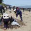 Capitanía de Puerto de Lirquén y la Alcaldía de Mar de Tomé también fueron parte de la limpieza de playas.