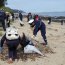  Capitanía de Puerto de Lirquén y la Alcaldía de Mar de Tomé también fueron parte de la limpieza de playas.  