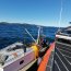 En Melinka Armada y Sernapesca incautaron 1.150 kilos de recurso erizo.