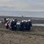 En Puerto Montt Fuerzas Armadas conjuntas y Grupos Scout reunieron 5 toneladas de basura en limpieza de playas.