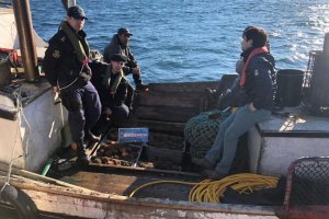 En Melinka Armada y Sernapesca incautaron 1.150 kilos de recurso erizo