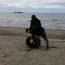 Gran convocatoria de personas logra la limpieza de playas en la Tercera Zona Naval.