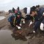 Limpieza de playas se efectuó con éxito en Arica y Antofagasta.