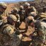 Cadetes Infantes de Marina efectuaron exitoso período de entrenamiento práctico.