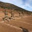 Cadetes Infantes de Marina efectuaron exitoso período de entrenamiento práctico.