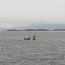Buque Cabrales realizó mantención de señales marítimas al norte de Magallanes