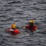 Nadadores de Rescate y Buzos de Salvataje realizaron arduo entrenamiento en aguas australes