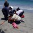  Personal de la Armada rescató a dos personas desde el mar en Mejillones  