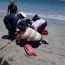 Personal de la Armada rescató a dos personas desde el mar en Mejillones