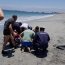  Personal de la Armada rescató a dos personas desde el mar en Mejillones  