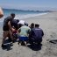 Personal de la Armada rescató a dos personas desde el mar en Mejillones