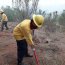 Armada se sumó a los apoyos para combatir incendio forestal en Valparaíso