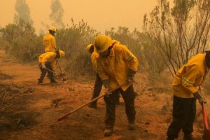 Armada se sumó a los apoyos para combatir incendio forestal en Valparaíso Armada se sumó a los apoyos para combatir incendio forestal en Valparaíso
