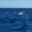 $21 mil millones en droga incautó Armada junto a PDI en el norte del país