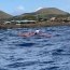 Campeonato Panamericano de Canotaje Polinésico cuenta con amplio dispositivo de seguridad de la Armada