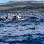 Campeonato Panamericano de Canotaje Polinésico cuenta con amplio dispositivo de seguridad de la Armada