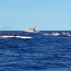  30 servidores navales entregaron seguridad al Primer Panamericano de Canotaje en Rapa Nui  