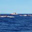 30 servidores navales entregaron seguridad al Primer Panamericano de Canotaje en Rapa Nui