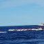  30 servidores navales entregaron seguridad al Primer Panamericano de Canotaje en Rapa Nui  
