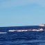 30 servidores navales entregaron seguridad al Primer Panamericano de Canotaje en Rapa Nui
