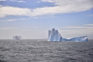 Campaña Antártica 2019-2020