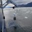 Buque Oceanográfico Cabo de Hornos apoyó estudio para aumentar la data sobre la marea roja en áreas de difícil acceso