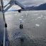  Buque Oceanográfico Cabo de Hornos apoyó estudio para aumentar la data sobre la marea roja en áreas de difícil acceso  