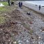 Autoridad Marítima realizó monitoreo con metodología GESAMP en playa detif de isla Lemuy