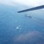 Armada despliega intenso operativo para recolección de restos del C130 de la FACH