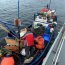 Tercera Zona Naval y SERNAPESCA incautan gran cantidad de centolla