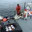 Tercera Zona Naval y SERNAPESCA incautan gran cantidad de centolla