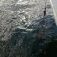 Tercera Zona Naval y SERNAPESCA incautan gran cantidad de centolla