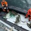 Tercera Zona Naval y SERNAPESCA incautan gran cantidad de centolla