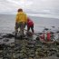  Marinos realizan curso contra el combate de incendio junto a Conaf en Punta Arenas  