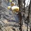 Armada presta apoyo a combate de incendio que afecta a Valparaíso