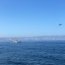Postulantes a la Escuela Naval tuvieron día demostrativo en el mar