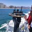 Armada de Chile realizó fiscalización conjunta con la Gobernación Provincial de Elqui.
