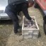 Autoridad Marítima y Sernapesca realizan incautación de recurso pulpo del sur en Ancud.