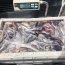 Autoridad Marítima y Sernapesca realizan incautación de recurso pulpo del sur en Ancud.