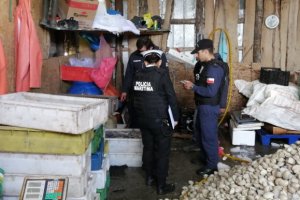 Autoridad Marítima y Sernapesca realizan incautación de recurso pulpo del sur en Ancud Autoridad Marítima y Sernapesca realizan incautación de recurso pulpo del sur en Ancud