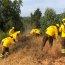 Dos brigadas forestales de la Armada colaboran en el combate del incendio que afecta a la comuna de Santa Juana en la región del Bío Bío