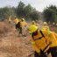 Dos brigadas forestales de la Armada colaboran en el combate del incendio que afecta a la comuna de Santa Juana en la región del Bío Bío