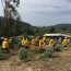 Dos brigadas forestales de la Armada colaboran en el combate del incendio que afecta a la comuna de Santa Juana en la región del Bío Bío