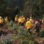 Dos brigadas forestales de la Armada colaboran en el combate del incendio que afecta a la comuna de Santa Juana en la región del Bío Bío
