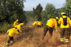Dos brigadas forestales de la Armada colaboran en el combate del incendio que afecta a la comuna de Santa Juana en la región del Bío Bío Dos brigadas forestales de la Armada colaboran en el combate del incendio que afecta a la comuna de Santa Juana en la región del Bío Bío
