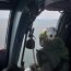 Con Helicóptero y Unidades Navales se busca a tripulante desaparecido en el Golfo de Ancud