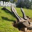 Museo Marítimo Nacional recibe tres donaciones para su muestra permanente.